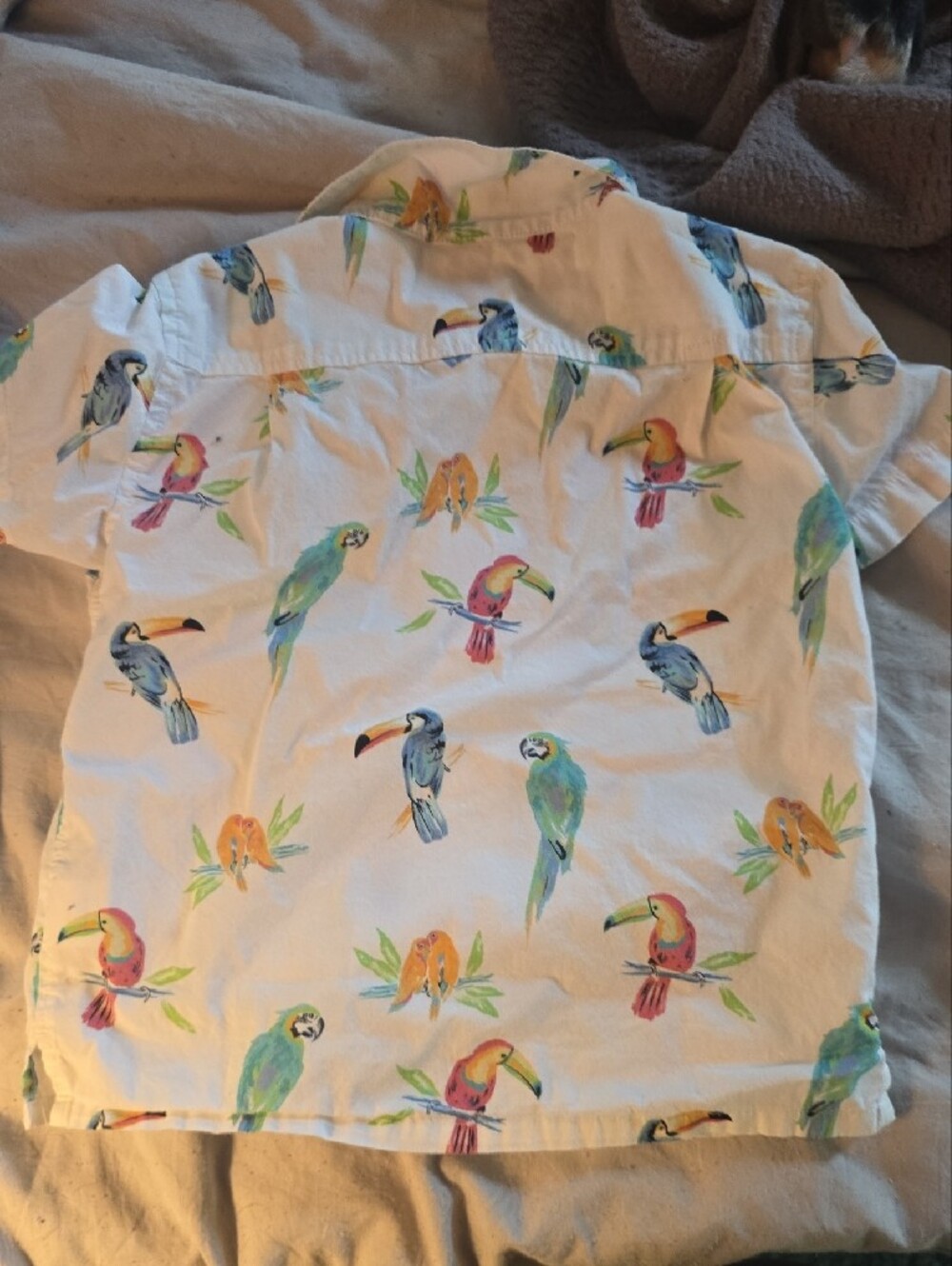 chubbies White Tropical Parrot Short-Sleeve Button-Down - Picture 3 of 3